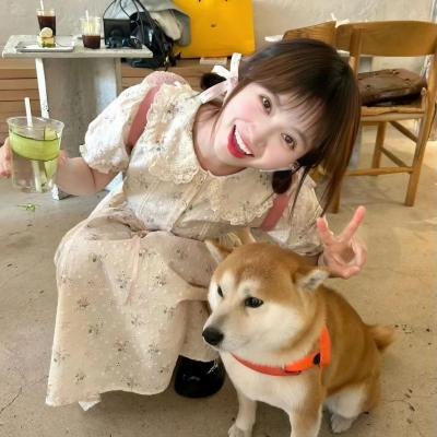 关于我妻子的一切