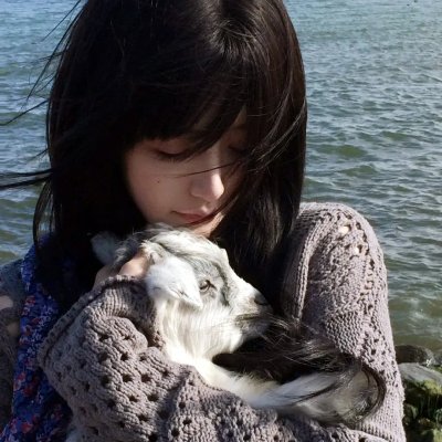 来自美国的莫里斯